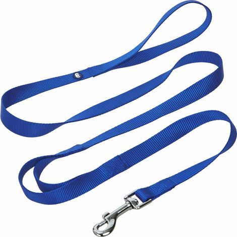 Laisse pour chien à double poignée pour le contrôle de la circulation Laisse pour petit chien de 1,5 m x 1,5 cm Laisse classique pour chien avec deux poignées pour chiens (1/2)