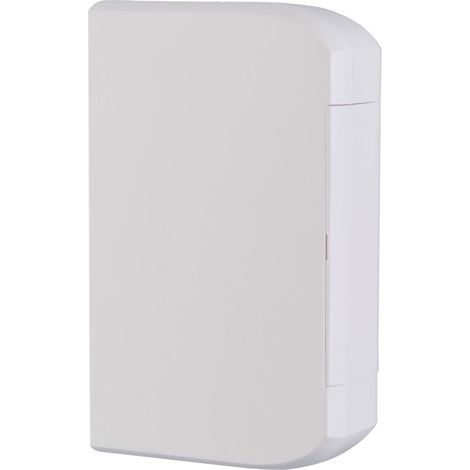 Legrand – Accessoire pour goulotte électrique 130 x 50 mm – Embout gauche/droit en plastique – Pour moulures Mosaic – 75613