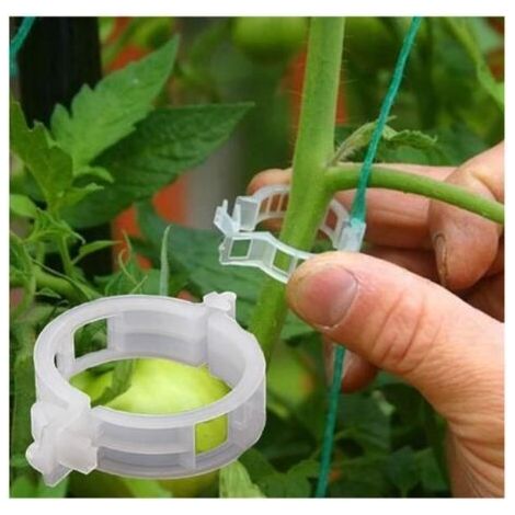 Pflanzenclips – SH – 100 Stück – Transparent – Wachstumsstütze – Wiederverwendbar (1/5)