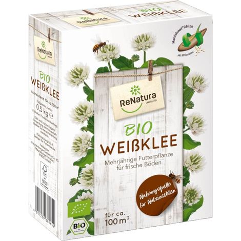 RenNatura Trèfle blanc bio (Trifolium repens) 0,5 kg Plante fourragère vivace Graines de trèfle