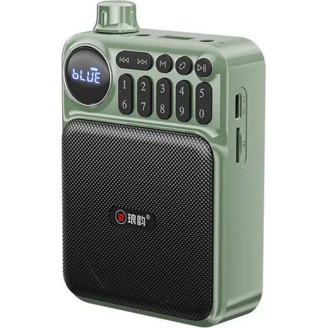 Mini radio FM portable avec écran LED, récepteur radio numérique, haut-parleur Bluetooth rechargeable, enregistreur, compatible carte TF, prise casque USB 3,5 mm. (1/5)
