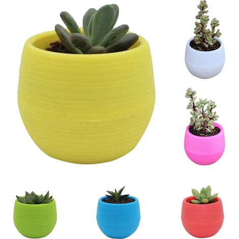 Lot de 6 mini pots de plantes succulentes, pots de semis avec drainage et plateau pour cactus, semis (5 couleurs) (1/5)