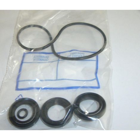 KIT TENUTE OLIO POMPA IDROPULITRICE ANNOVI REVERBERI 2511 737 747 ORIGINALE