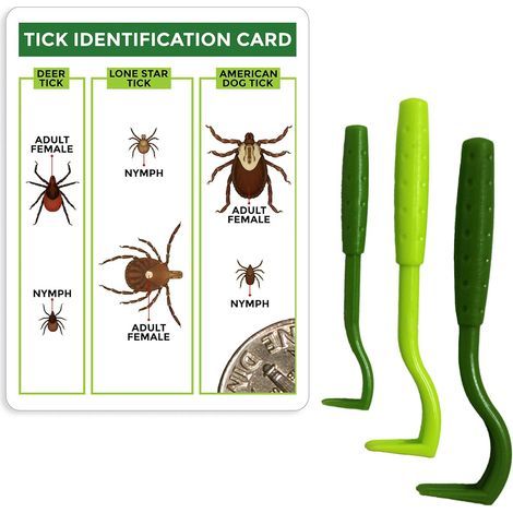 TickCheck Value 3 Zeckenentfernungsset – Zeckenentfernungswerkzeuge + Zeckenidentifikationskarte – für Menschen, Hunde und Katzen (1 Set) (1/5)