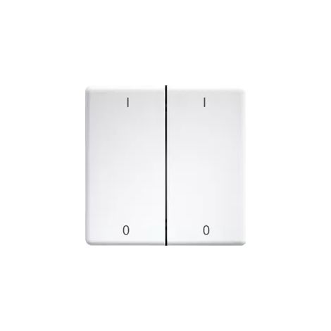 Eltako Doppelwippe lasergraviert f.55x55mm rws/glänz DW-FT55-wg+IO (1/2)