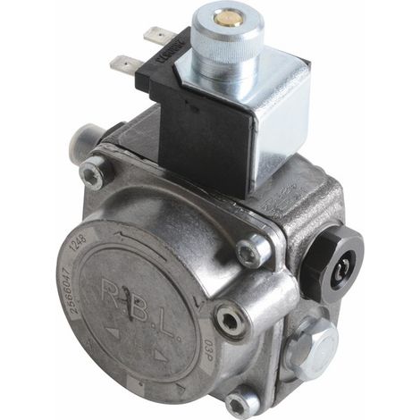 Ölpumpe für Gulliver RG0 - RIELLO: 3002495