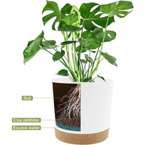 Lot de pots de plantes - - 16,5 cm - Trous de drainage - Base amovible - Soucoupe décorative - Plastique recyclable (1/4)