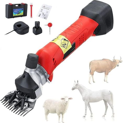 Tondeuse à moutons électrique, tondeuses à moutons sans fil, tondeuses à moutons très résistantes, batterie au lithium rechargeable intégrée pour raser la laine de fourrure, 480 W, (1/5)