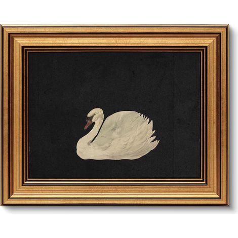 Tableaux muraux vintage avec cadre doré salon, décoration murale avec motifs d'animaux, toiles tableaux muraux pour salon et chambre à coucher, cygne 25L x 20W cm (1/5)