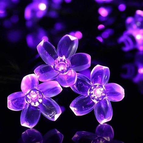 AIDUCHO 30led Guirlande Lumineuse Solaire Fleurs De Cerisier, 6.5m Forme De Fleurs Lumineuse Extérieur, 8 Modes Imperméable Lumières Féériques Fleur Pour Jardin Patio Cour Fête Noël Décoration, Violet (1/5)