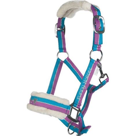 HKM Funny Horses, Cavezza per Cavallo, salice, stalla e Pony (1/2)