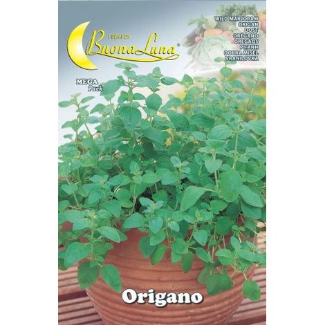Semi orto origano - 10 pz