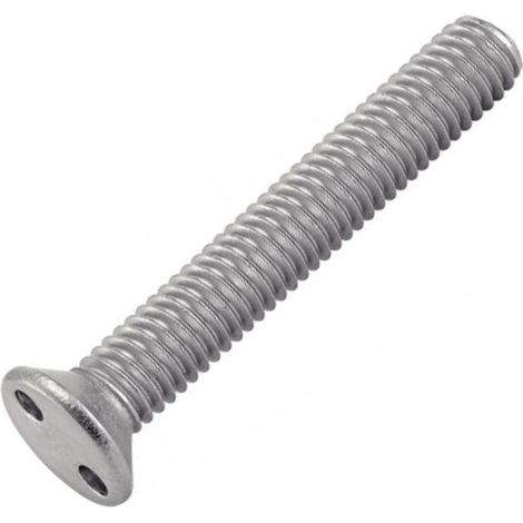 Vis Inviolable TF 2 Trous "Snake Eyes" M6X40 Inox A2