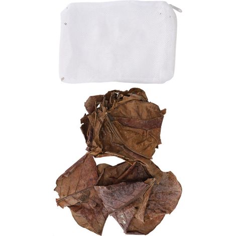 Feuilles d'Alisier Tropical pour Aquarium – 100 % Naturelles, Acidifiantes, Sachet avec Filet Inclus (1/5)
