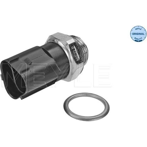 Interrupteur de température, ventilateur de radiateur Meyle 100 959 0016 AUDI
