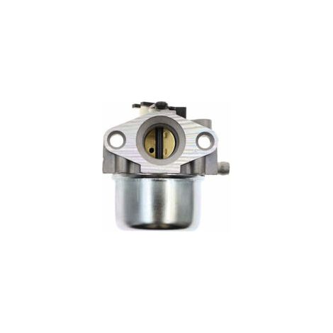 Carburateur de haute qualité Briggs & Stratton 790845 799871 799866 796707 794304, tondeuse à gazon Quantum, moteur de générateur Toro Craftsman, carburateur (couleur : gris)