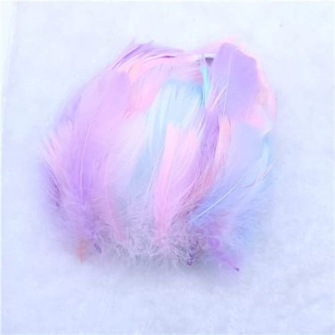 DAXXIN PLUMES DE CYGNE NATURELLES DE COULEUR PLUMES DE POULET PLUMES DE MARABOUT DE DINDE POUR CARNAVAL HALLOWEEN NOÃ«L DÉCORATI