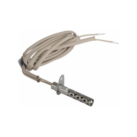 Kit de service pour allumeur de lueur - AOSMITH : 0304242(S)