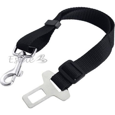 Laisse pour ceinture voiture (1/4)