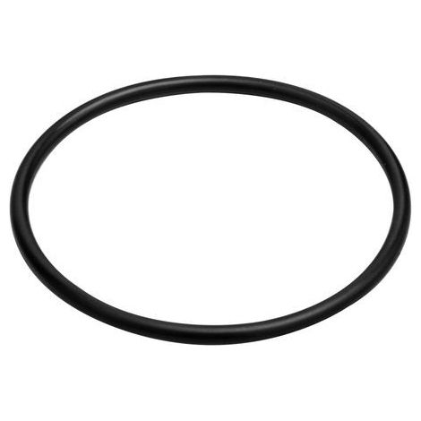 BOSCH O-Ring 48,9x2,62 7101596