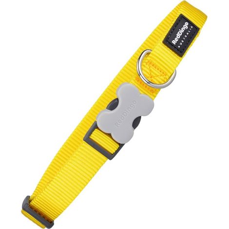 Collier pour Chien Red Dingo Lisse Jaune (2,5 x 41-63 cm)