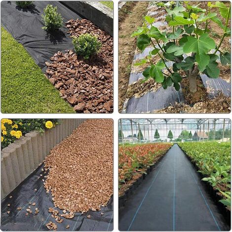 30 Pièces Étiquettes De Plantes en Bambou, Marqueurs De Plantes De Type Arbre Vert Étiquette De Jardin en Bois pour Légumes en Pot De Jardin (1/5)