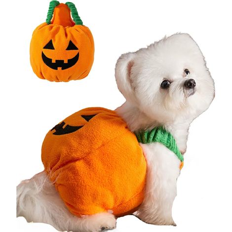 Niedliches Kürbiskostüm mit Kürbiskapuze für kleine Hunde und Katzen, Brustumfang 50-60 cm, für Partys und Fotoshootings (1/5)