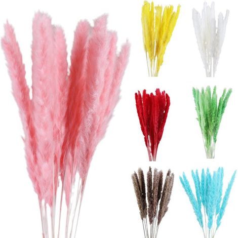 Petites herbes de la pampa séchées (phragmites) - Décoration naturelle - Accessoires de photographie pour mariages à l'hôtel (1/5)
