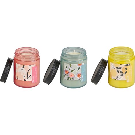 Conjunto de 3 velas perfumadas 100% cera de soja mecha de algodón vidrio fragancia floral fresca rosa/caqui/melisa flor frutal FRUITY BLOOM