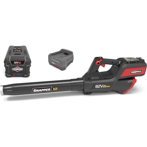 EBSRC82 - Carica batterie rapido 82 V Worx