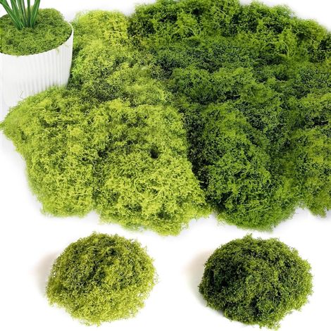 100g künstliches Moos Deko Bastelmoos Dunkelgrün Hellgrün 100G (1/5)