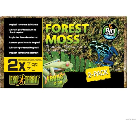Musgo natural Exo Terra Forest Moss (1/2)