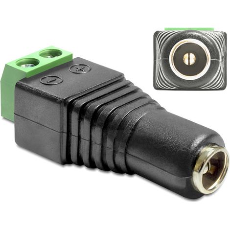 Delock 65485 DC Adaptateur [1x DC femelle 5.5 mm - 1x 2 pôles] noir, vert