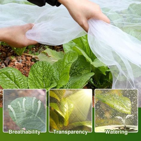 Filet de protection pour plantes - - Extra fin - Dimensions 3x15 m - Maille 0,8 mm x 1 mm - 60 mailles par pouce (1/5)