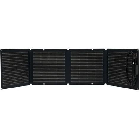 EcoFlow Pannello solare portatile da 110 W (1/5)