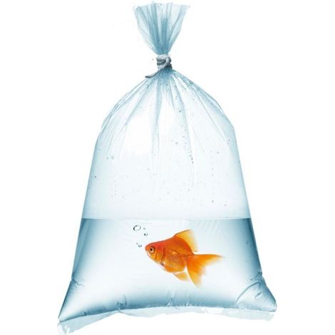 Aquarienfischbeutel 12x35cm - 50 Stück.