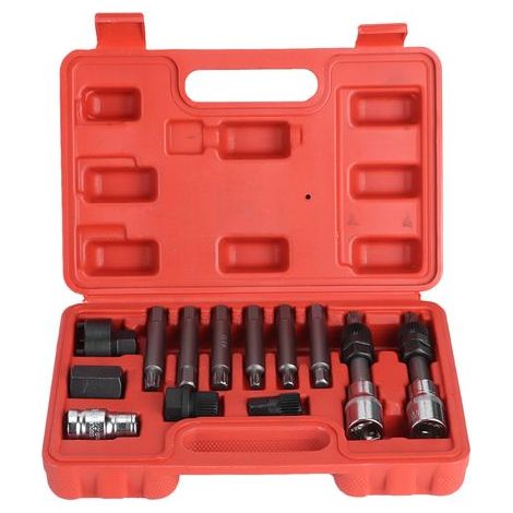 Juego de herramientas premium de 13 piezas para desmontaje de rueda libre de alternador Poulley, herramientas duraderas de acero al carbono para servicio de taller. (1/5)