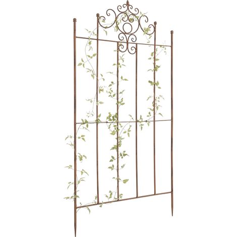 Traliccio Paula 170 x 86 cm antico marrone