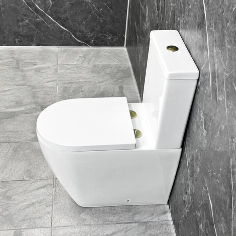 Tornado Flush Toilet with Brushed Brass Flush Button & Hinges Closed Back (1/4)