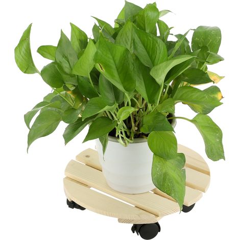 Étagère d'intérieur pour plantes, support à fleurs autoportant avec roulettes pour jardin et bonsaïs (1/5)