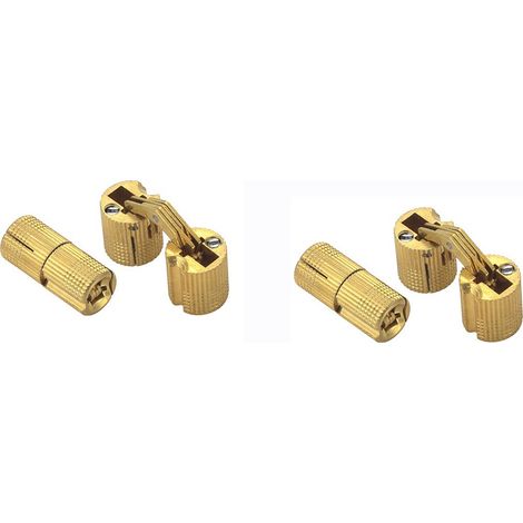 4 Charnieres Cylindriques Laiton 14mm Invisibles Bois Caravane Discretes (1/5)