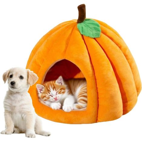pour Chien en Forme de Citrouille - Doudou Cave Doux pour (1/5)