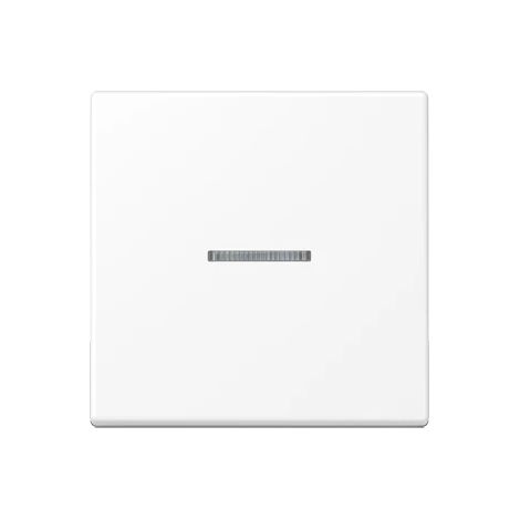 Jung Tasto 1 posto, con conduttore di luce, duroplastica verniciata, serie A, bianco neve opaco A 590 KO5 WWM