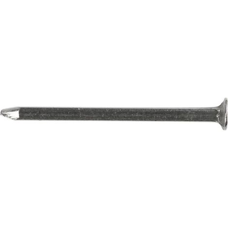 Clous - 20 mm - Brillant - lot de 100 - 2060 pièces