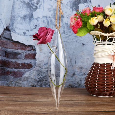 Hängende Glasvase, Terrarium, Behälter, Dekoration für Haus und Garten, Glasflasche (1/5)