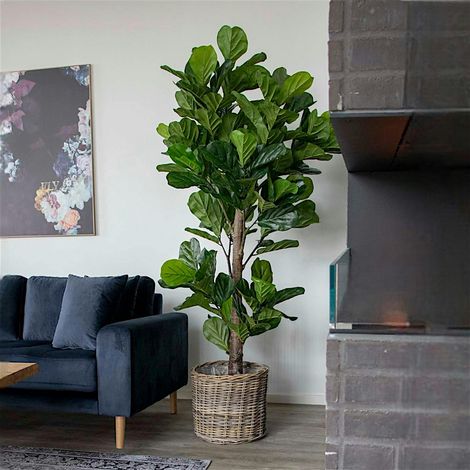 Ficus artificiel en pot H 190 cm