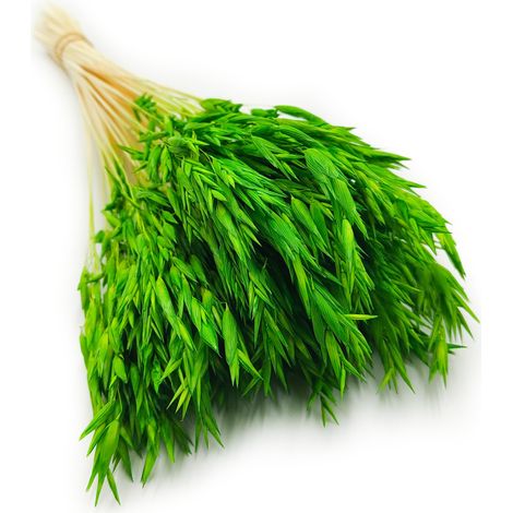 Avena secca - Verde