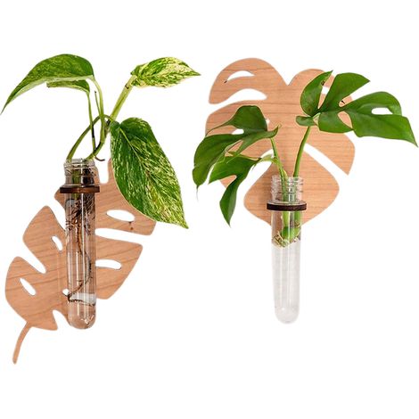【ms8665 + ms8666】2 estantes de pared de madera para plantas verdes, decoración original con tubos de plástico (1/5)