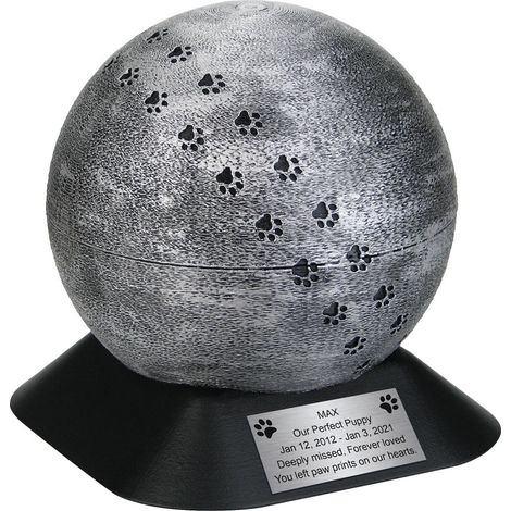 Urna cineraria in argento per animali domestici con impronte di zampe Urna cineraria in argento per animali domestici con impronte di zampe (1/4)