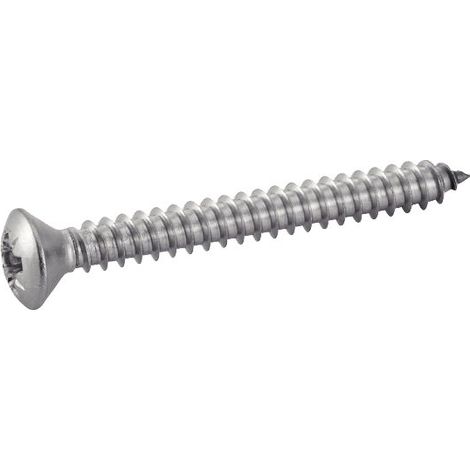 Vite Acton din 7983 acciaio inox 4.8 mm x 13 mm